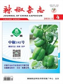 辣椒期刊